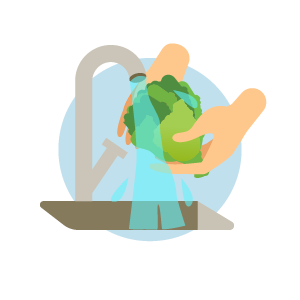 ALL-TENET-Signs of Chemical Exposure-Infographic-300x300-2026-04 Hands washing fresh produce under running water
