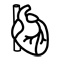 Enfermedad de las arterias coronarias