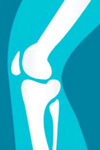 Diagram of knee joint anatomy
