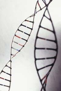 Close-up of DNA strands