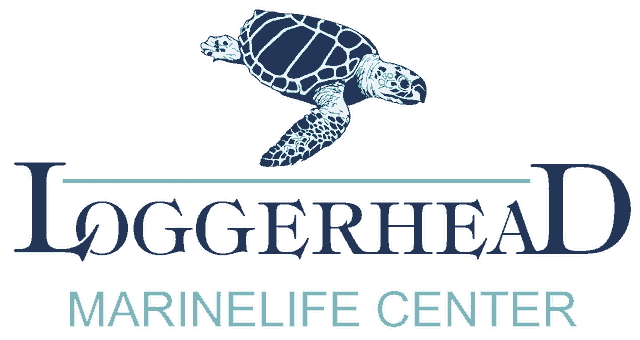 Loggerhead Marinelife Center Logo
