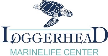 Loggerhead Marinelife Center Logo