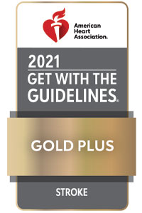 gwtg-stroke-plus-2021-gold