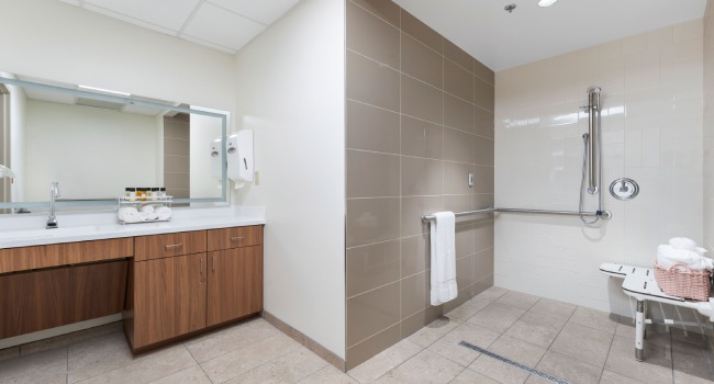 Shower Room and Vanity Room
