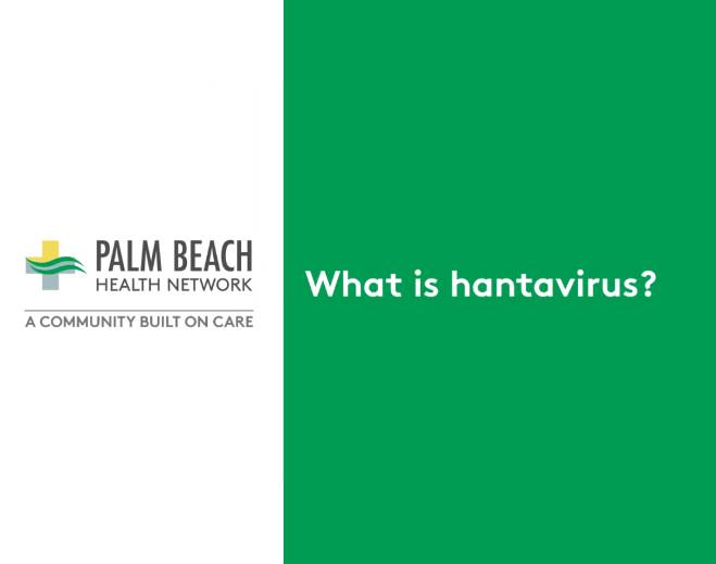 what-is-hantabirus-659x519